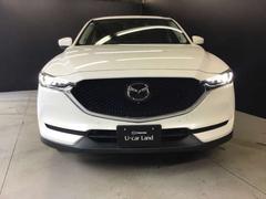 ¸�ߴ�����ե���ȥ���� 4