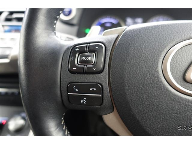 ＮＸ ＮＸ３００ｈ　バージョンＬ　電動パワーシート　地デジ　ＡＣ１００Ｖ　黒革シート　ＡＵＸ　エアコン　ナビ＆ＴＶ　ＬＥＤライト　Ｂカメラ　アルミ　エアバッグ　ＡＢＳ　横滑り防止機能　キーレス　ＥＴＣ　スマートキー　ドラレコ　自動追従（36枚目）