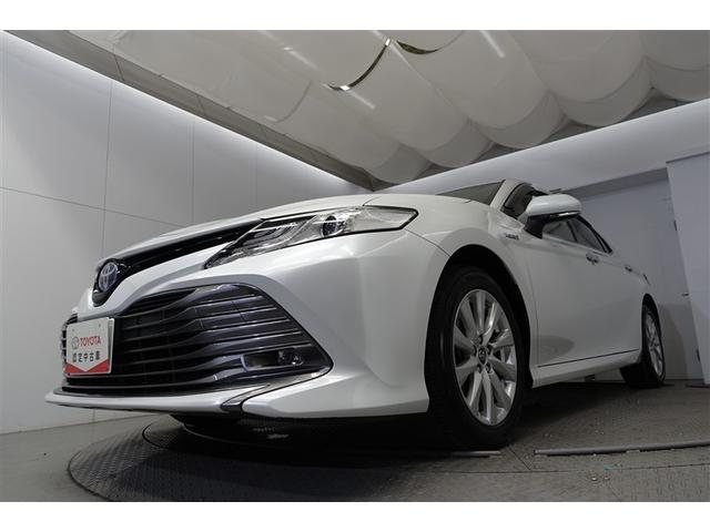 �t�|�b�����͂��ׂē������̂�������_���ƂȂ��Ă��܂��B���̂��ߋC�ɂȂ邨�N���}������܂����炨���߂ɂ��A������������