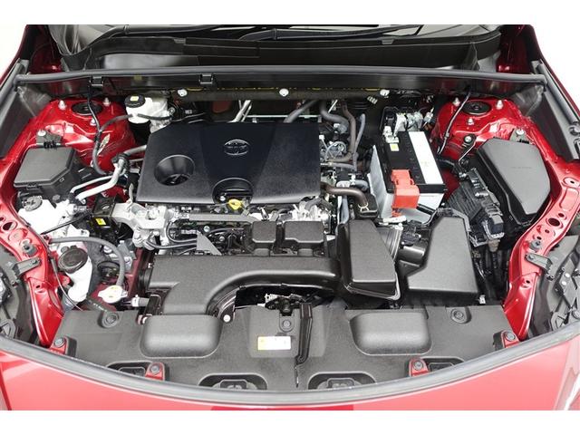 ���G���W�����[�����N��-�j���O�ς݁I�z�R����D�A�I�C������𗎂Ƃ��Ă��璚�J�ɐ�򂵂܂����I�����̂Ƃ���s�J�s�J�ł��I