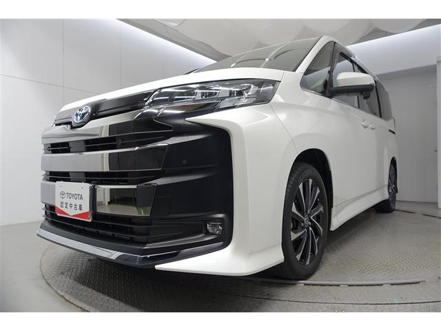 �t-�b�����͂��ׂē������̂�������_���ƂȂ��Ă��܂��B���̂��ߋC�ɂȂ邨�N���}������܂����炨���߂ɂ��A������������