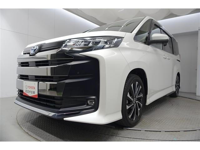 �t-�b�����͂��ׂē������̂�������_���ƂȂ��Ă��܂��B���̂��ߋC�ɂȂ邨�N���}������܂����炨���߂ɂ��A������������