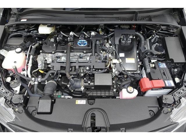 ���G���W�����[�����N��-�j���O�ς݁I�z�R����D�A�I�C������𗎂Ƃ��Ă��璚�J�ɐ�򂵂܂����I�����̂Ƃ���s�J�s�J�ł��I