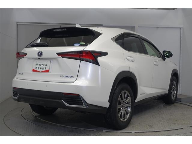 �o�b�N�h�A�͑傫����ɒ��ˏオ��܂��̂ŉו��̏o��������ȒP�ɏo���܂��B�J�̓��ɂ̓o�b�N�h�A���J�����ɂȂ��Ă���܂��恙