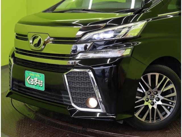 ���t�����g��聚