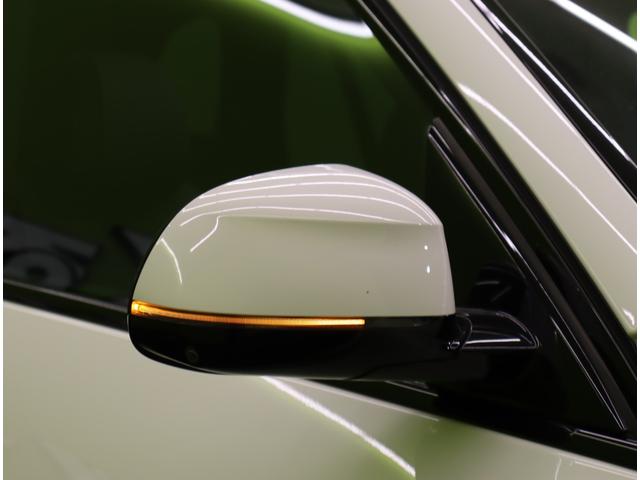 ★ミラーウインカー★