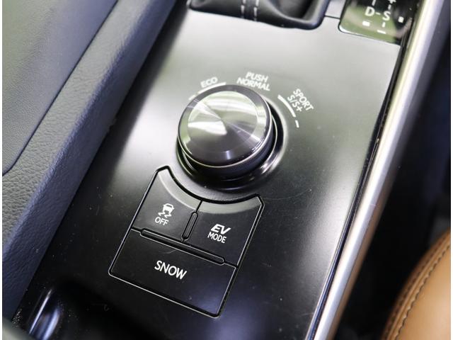 ＩＳ ＩＳ３００ｈ　バージョンＬ／ダウンサス／茶本革／　フルセグナビ／Ｂカメラ／茶革エアシート／レーダークルーズ／マークレビンソン／ＢＳＭ／パドルシフト／スマートキー／クリアランスソナー／オートＬＥＤ／ダウンサス／１７ＡＷ／ＣＶＴ（19枚目）