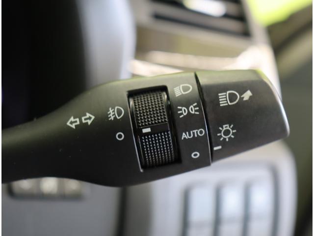 ���I�[�g���C�g��