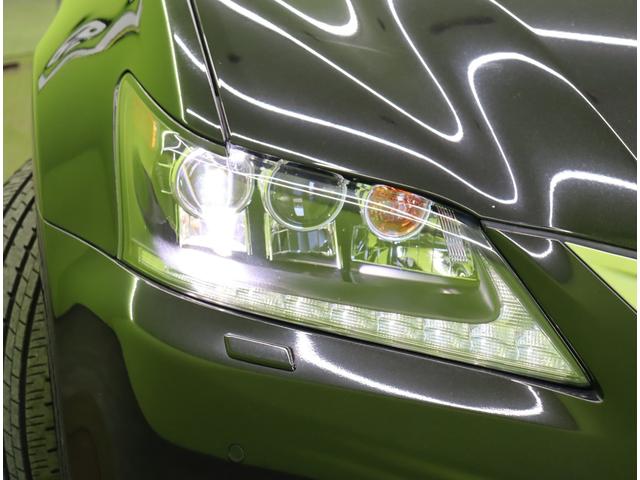 ���k�d�c�w�b�h���C�g��