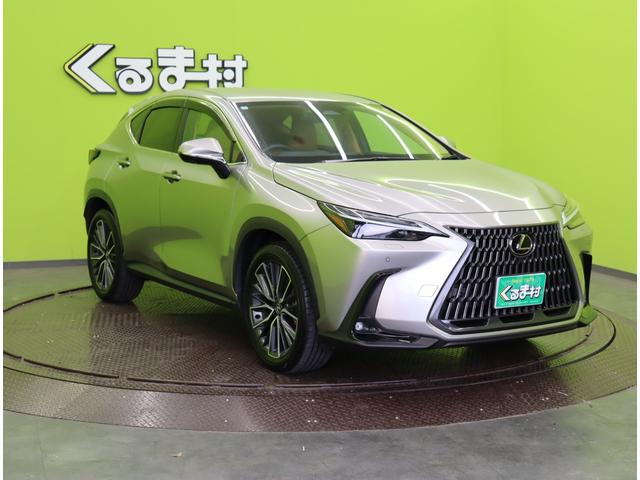 ���{�f�B�J���[�F�\�j�b�N�`�^�j�E�����ׂ��܂�����