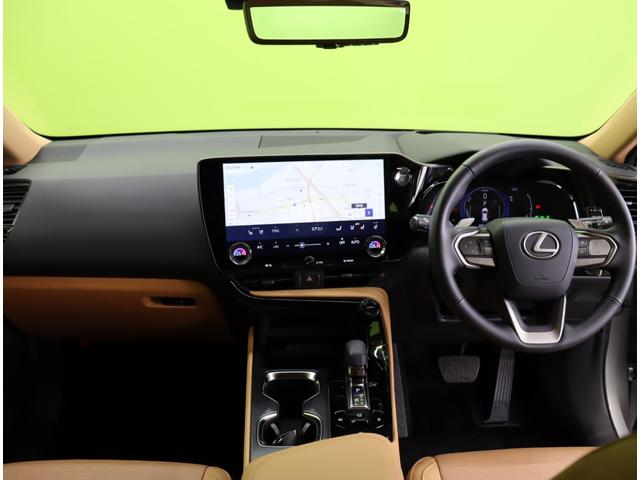 �������f�U�C����