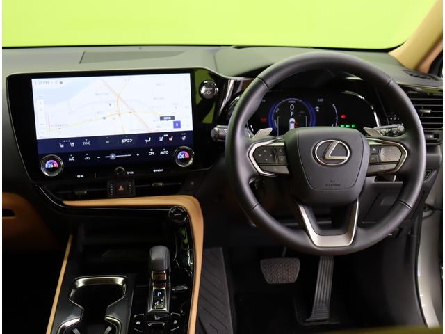 ���n���h����聚