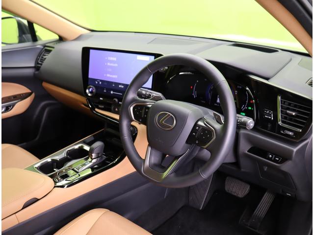 ���C���p�l��聚