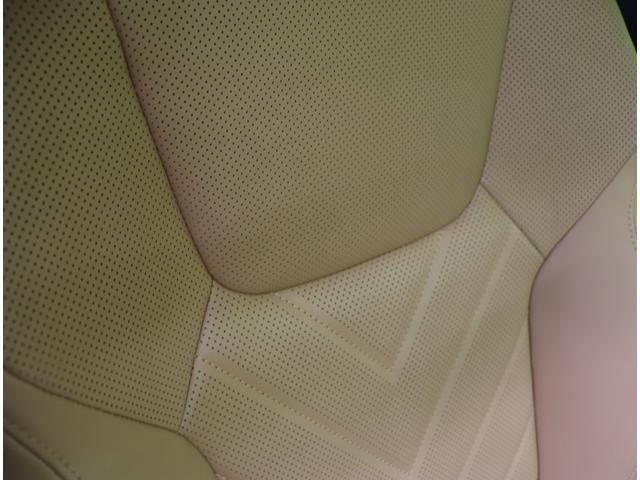 �����v�V�[�g��