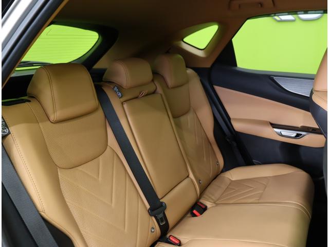 �������f�U�C����