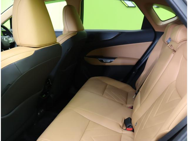 �������f�U�C����