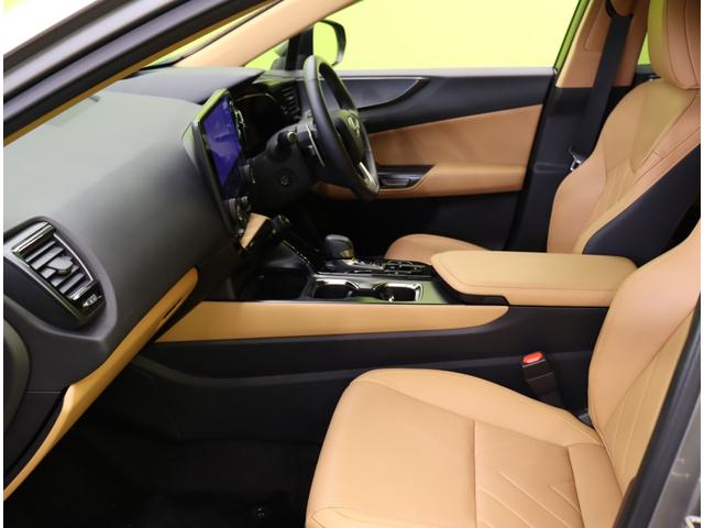 �������f�U�C����