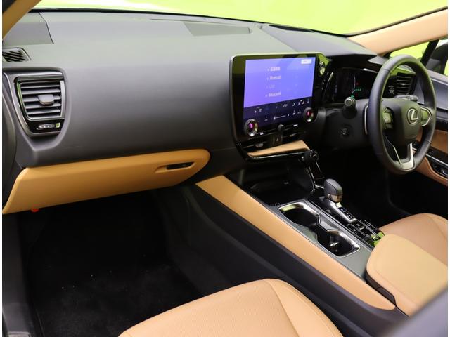 ���C���p�l��聚