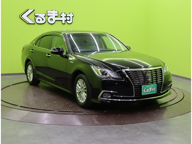 ���{�f�B�J���[�F�Q�O�Q�u���b�N���ׂ��܂�����