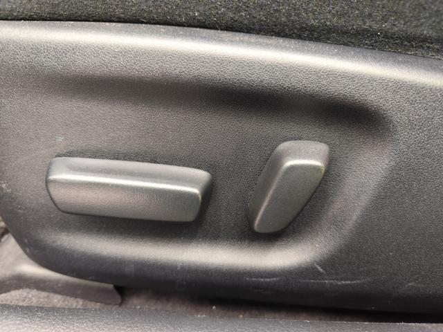 ������ȃp���[�V�[�g��