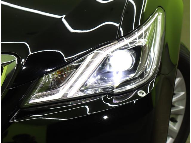 ���k�d�c�w�b�h���C�g��