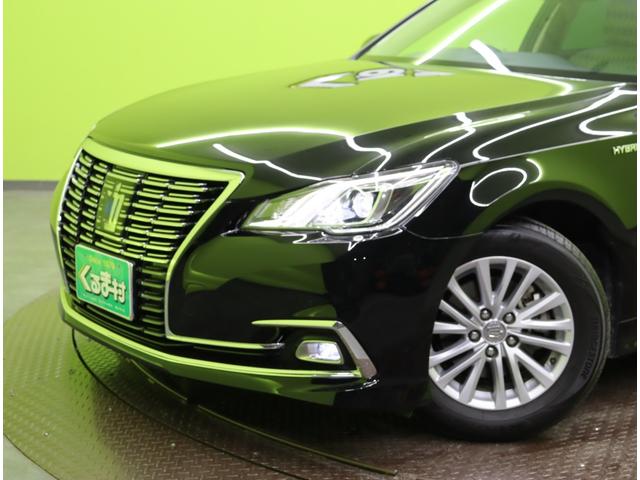 ���t�����g��聚