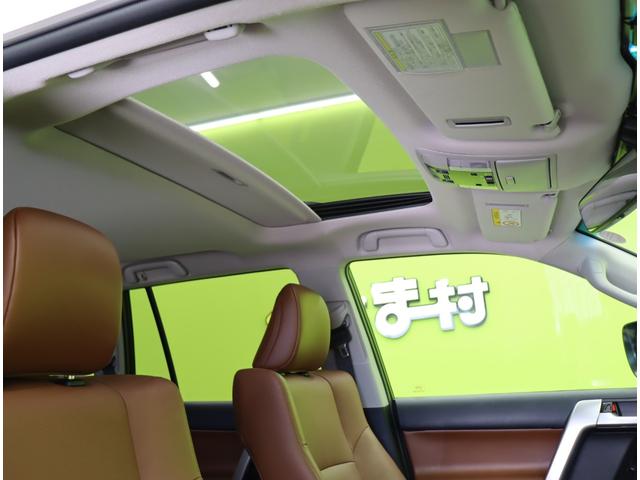 ���T�����[�t��