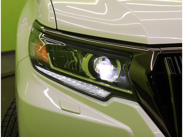 ���k�d�c�w�b�h���C�g��