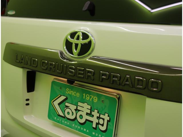 ���Œ��R�N�ۏ؁��ۏؑΏۂ���ԁA�ۏ͈ؔ́A�ۏؓ��e�ɂ͈��̏���������܂��i�ۏ؂͗L���ƂȂ�܂��j��