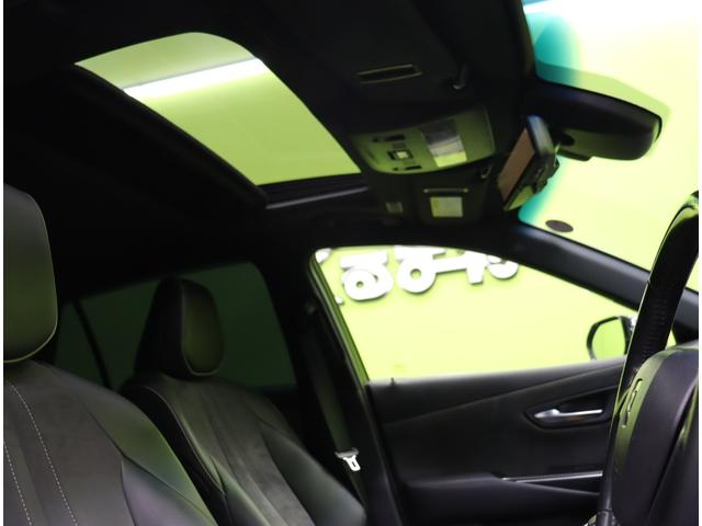 ���T�����[�t��