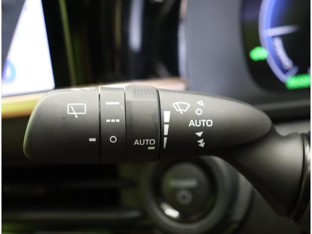 �����C�p�[��