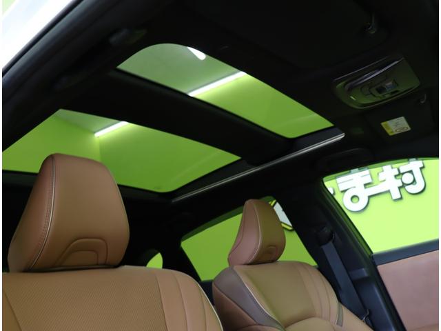 ���p�m���}���[�t��