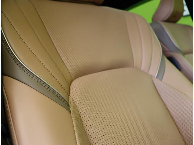 �����v�V�[�g��