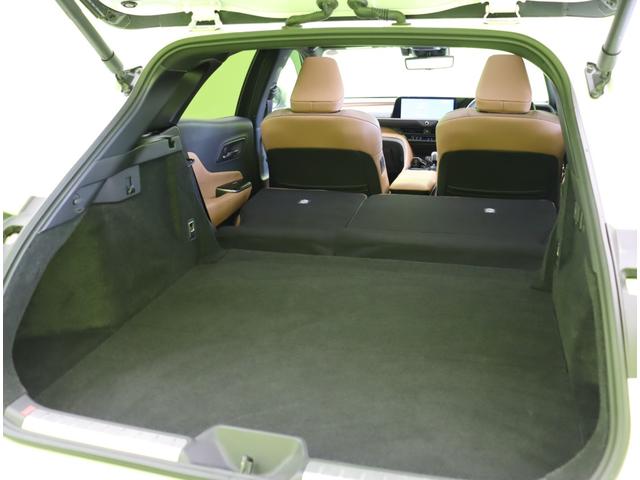 �����A�V�[�g�|���΍L���g���܂���