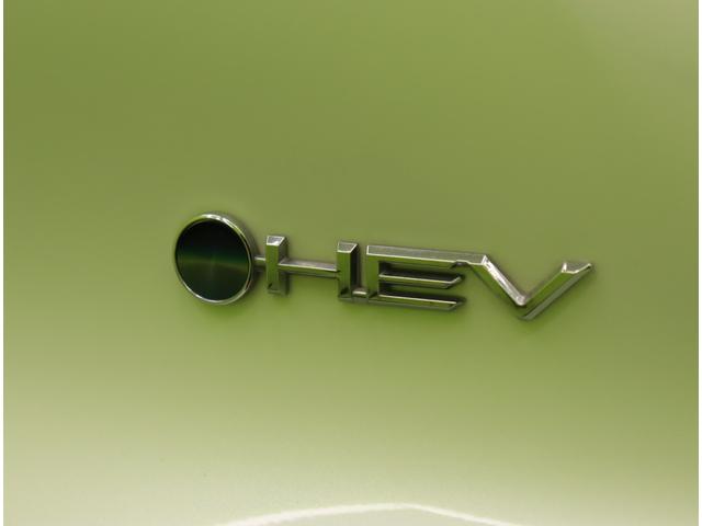 ���n�C�u���b�h��