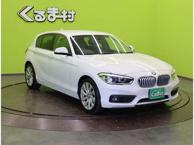 ���{�f�B�J���[�F�A���s���E�z���C�g���ׂ��܂�����