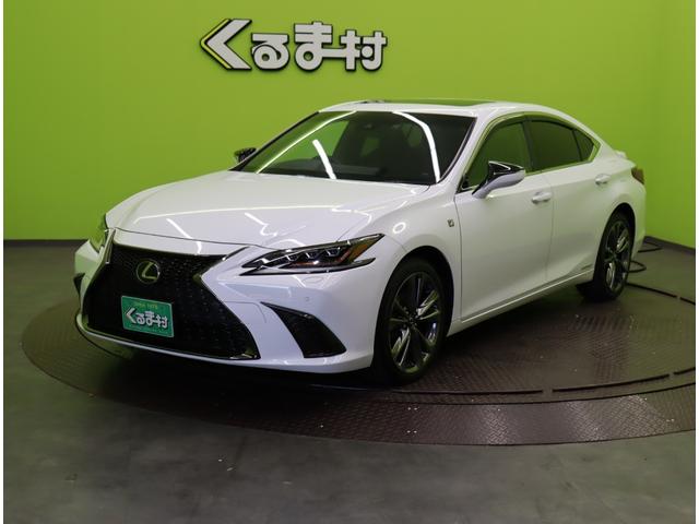 �����N�T�X�^�d�r�R�O�O���@�e�X�|�[�c�^�T�����[�t�^���s�Q�V�T�O�O������