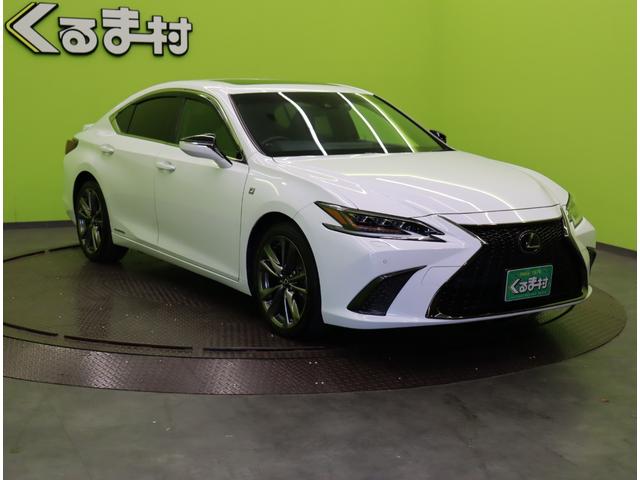 ���{�f�B�J���[�F�z���C�g�m�[���@�K���X�t���[�N���ׂ��܂�����