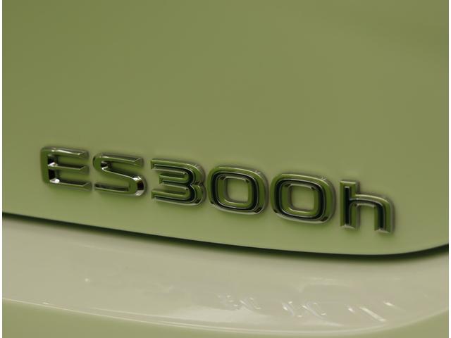 �����N�T�X�^�d�r�R�O�O���@�e�X�|�[�c�^�T�����[�t�^���s�Q�V�T�O�O������