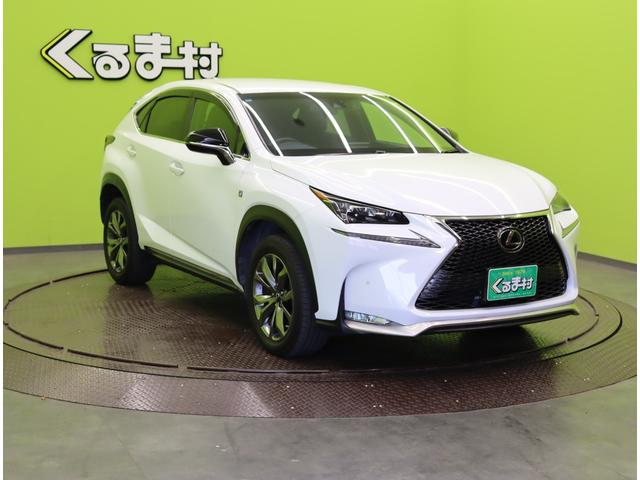 ���{�f�B�J���[�F�z���C�g�m�[���@�K���X�t���[�N���ׂ��܂�����