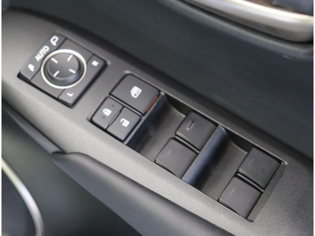 ���I�[�g�~���[�^�p���[�E�C���h�E��