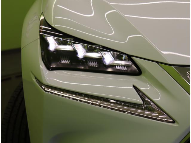 ���O��k�d�c�w�b�h���C�g��