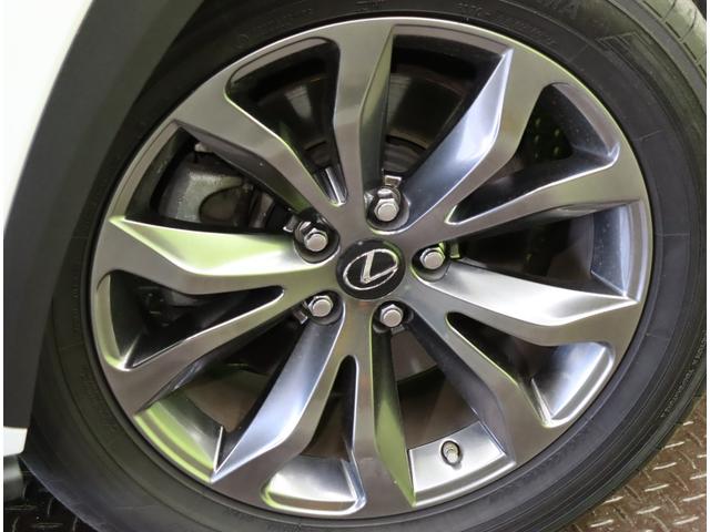 �������P�W�C���`�A���~�z�C�[����