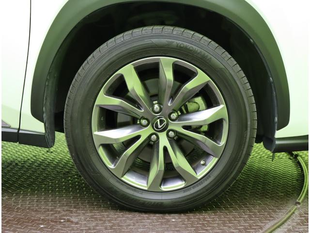 �������P�W�C���`�A���~�z�C�[����