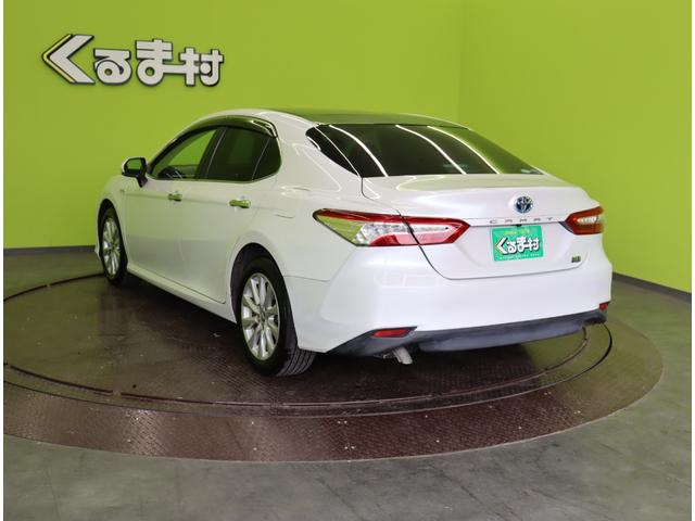 ���Œ��R�N�ۏ؁��ۏؑΏۂ���ԁA�ۏ͈ؔ́A�ۏؓ��e�ɂ͈��̏���������܂��i�ۏ؂͗L���ƂȂ�܂��j��