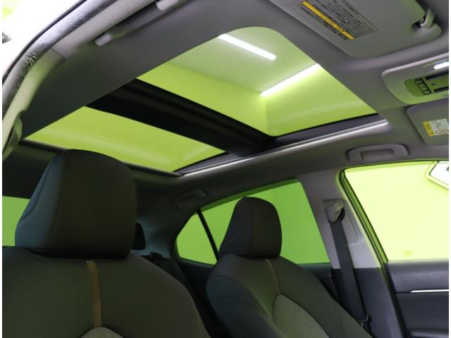 ���T�����[�t��