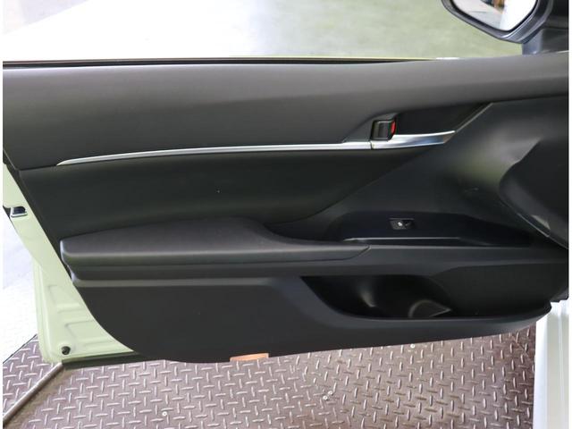 ������ȃh�A��