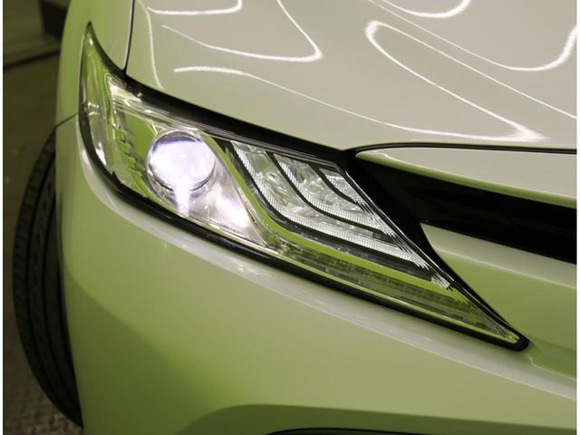 ���k�d�c�w�b�h���C�g��