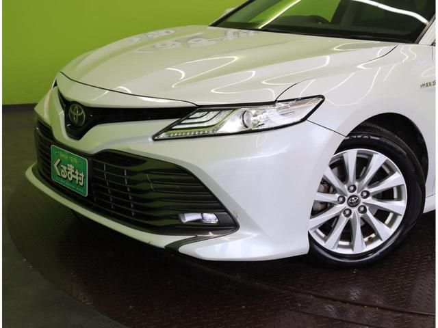 ���t�����g��聚