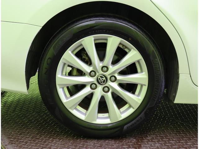 �������P�V�C���`�A���~�z�C�[����